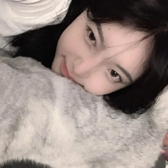 金雉鸡